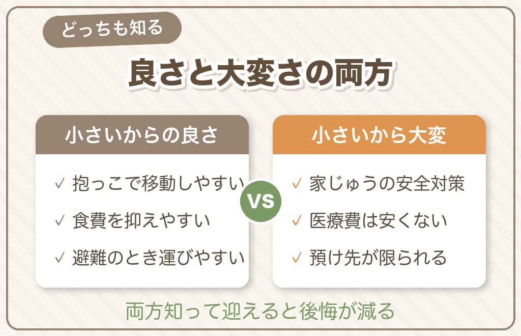 小さいチワワのメリットと大変なところ
