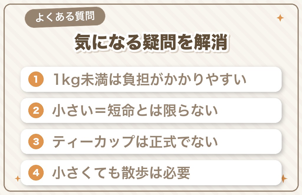 チワワの大きさに関するQ&A