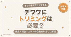チワワにトリミングは必要？頻度・料金・カットの目安をやさしく解説
