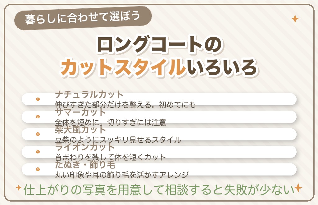 チワワに人気のカットスタイル