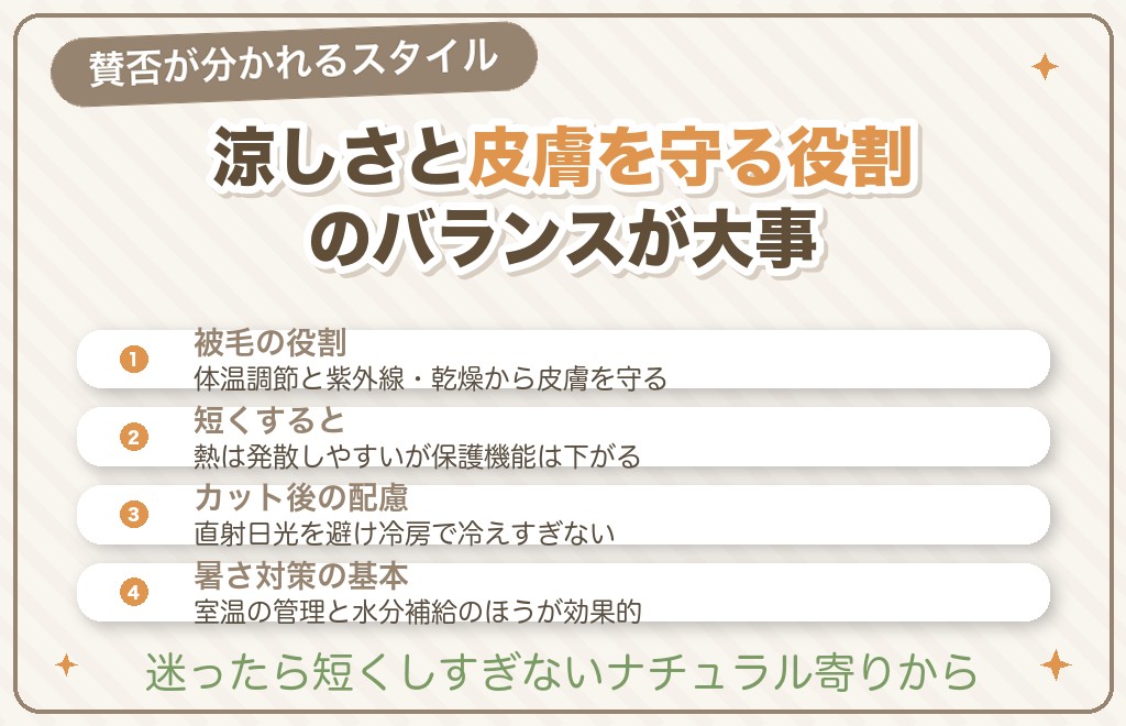 チワワのサマーカットはあり？なし？
