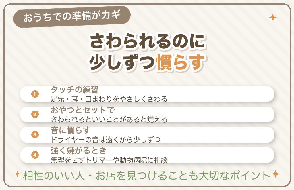 トリミングを嫌がるチワワへの慣らし方