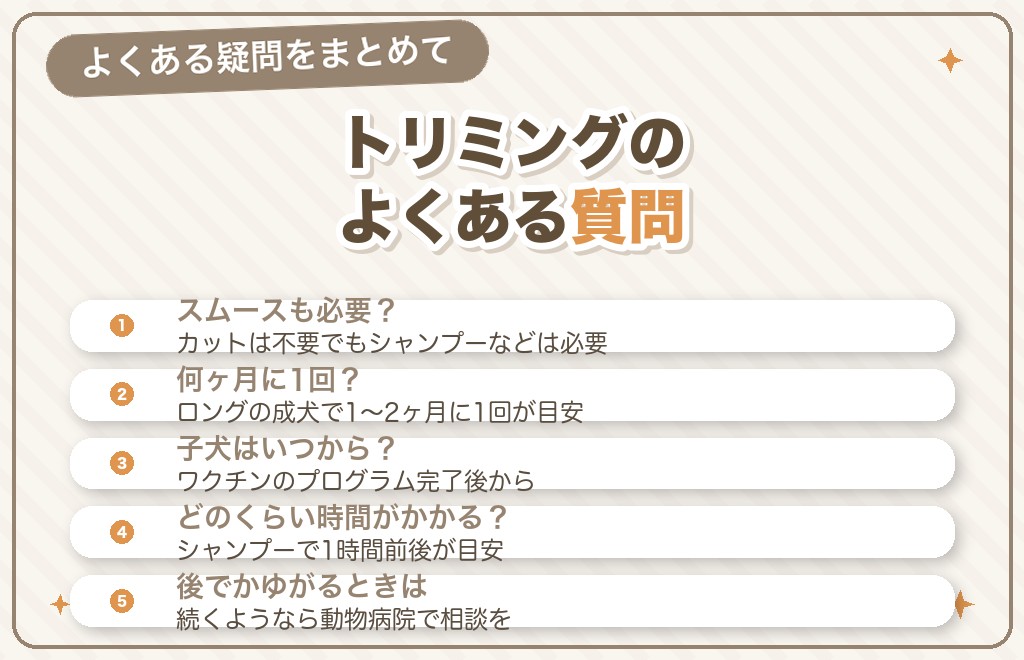 チワワのトリミングに関するQ&A