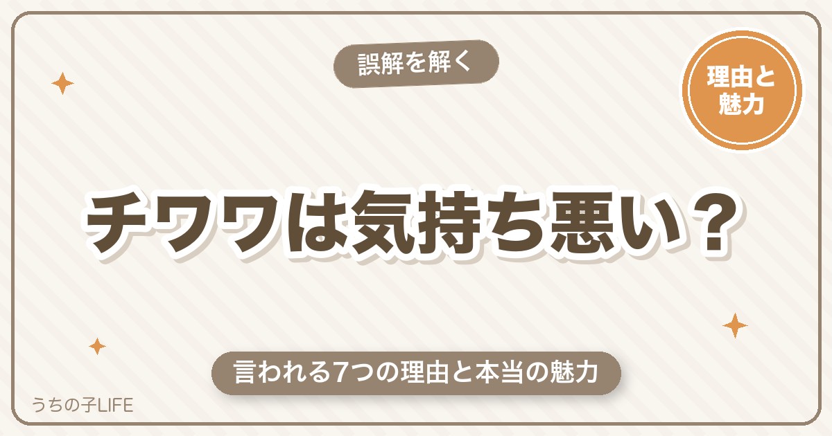 チワワが気持ち悪いと言われる理由7つは誤解？本当の魅力をやさしく解説