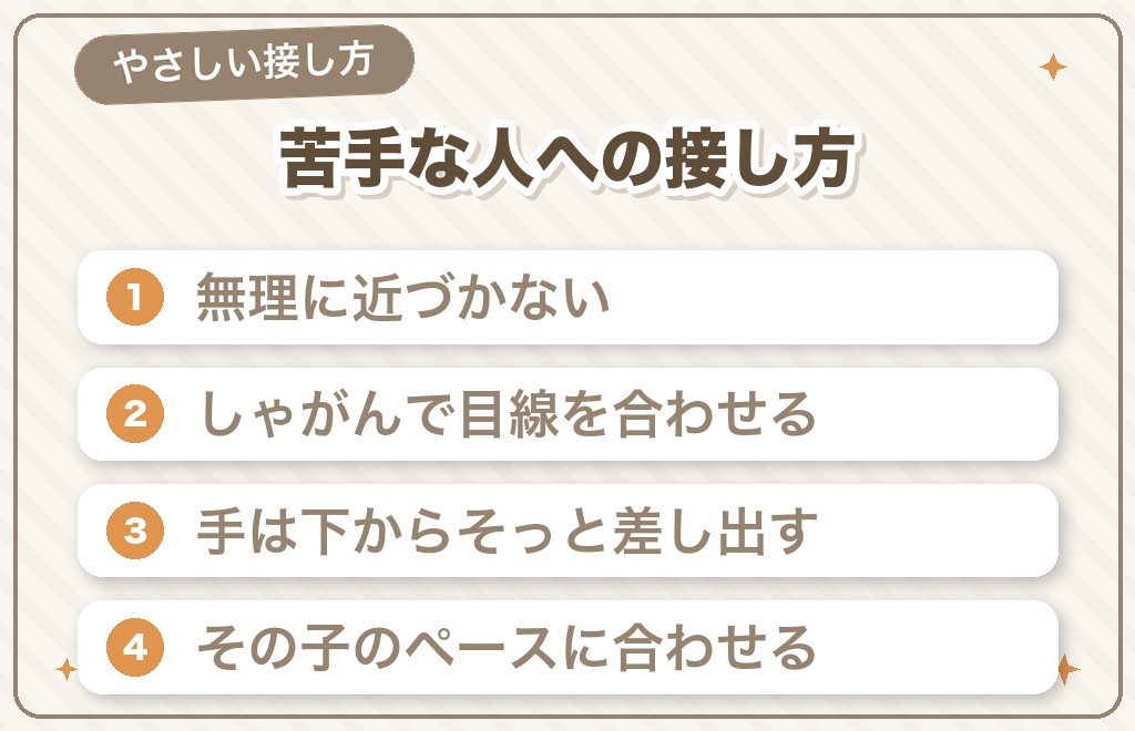 チワワが苦手・こわいと感じる人へのやさしい接し方