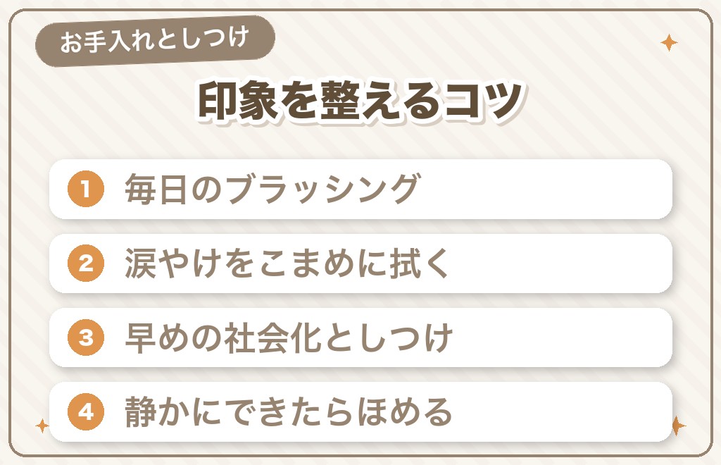 気持ち悪いと思わせないためのお手入れ・しつけ