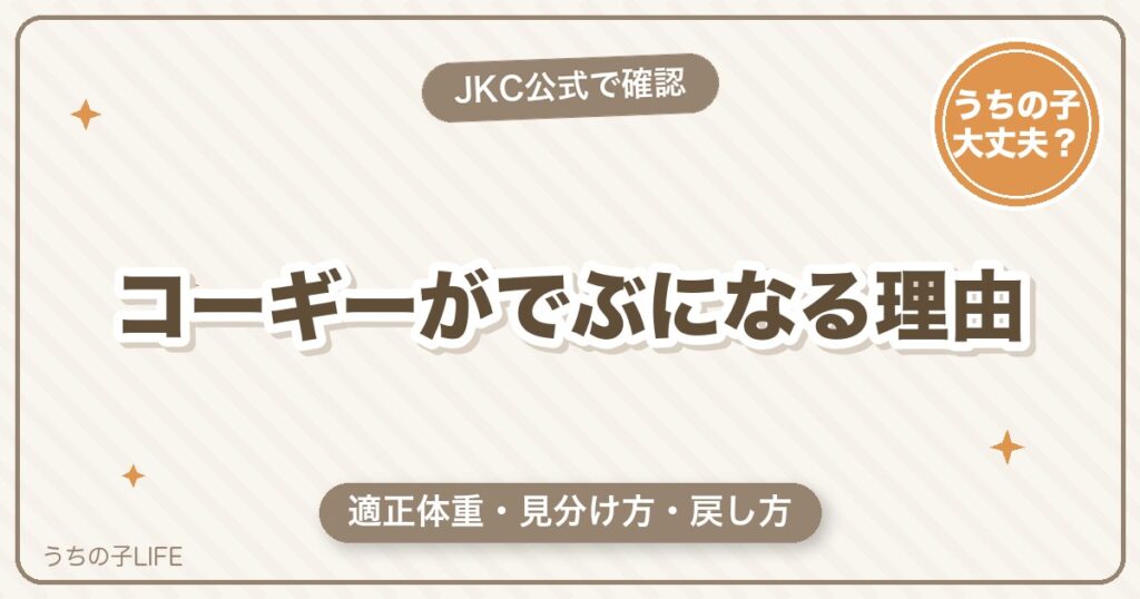 【太りすぎ？】コーギーがでぶになる理由と適正体重・ダイエット方法