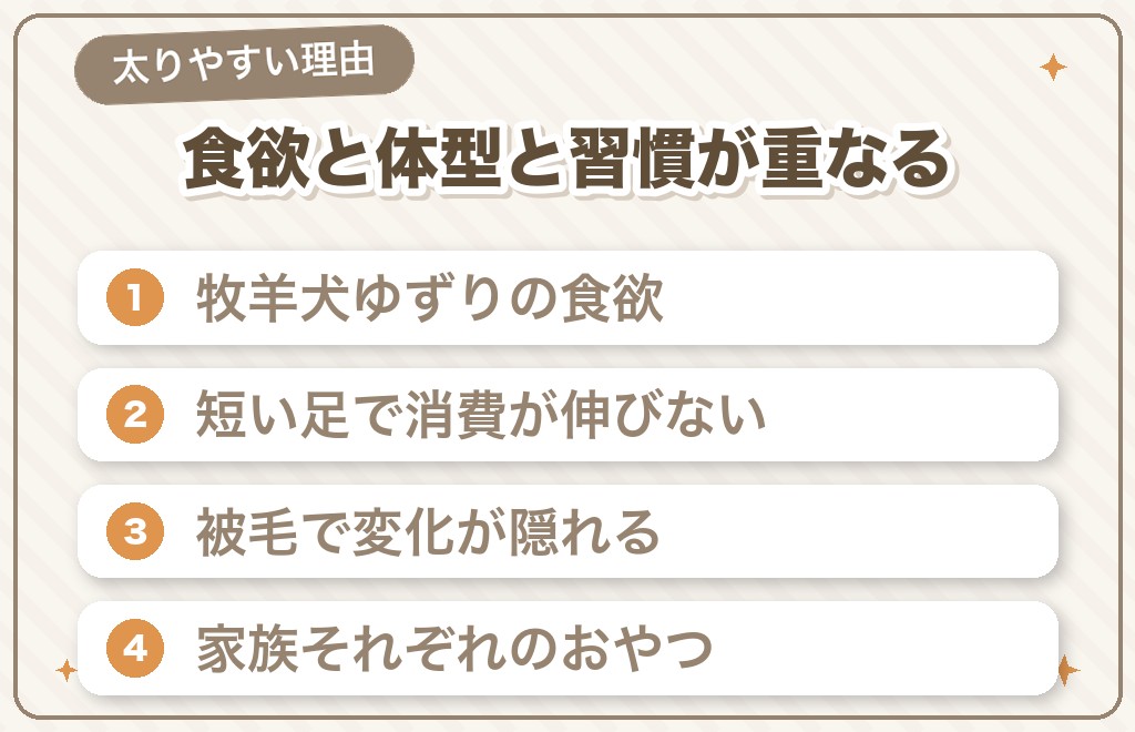 コーギーが太りやすい5つの理由