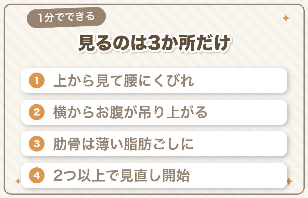 うちのコーギーはでぶ？体重より確実な見分け方