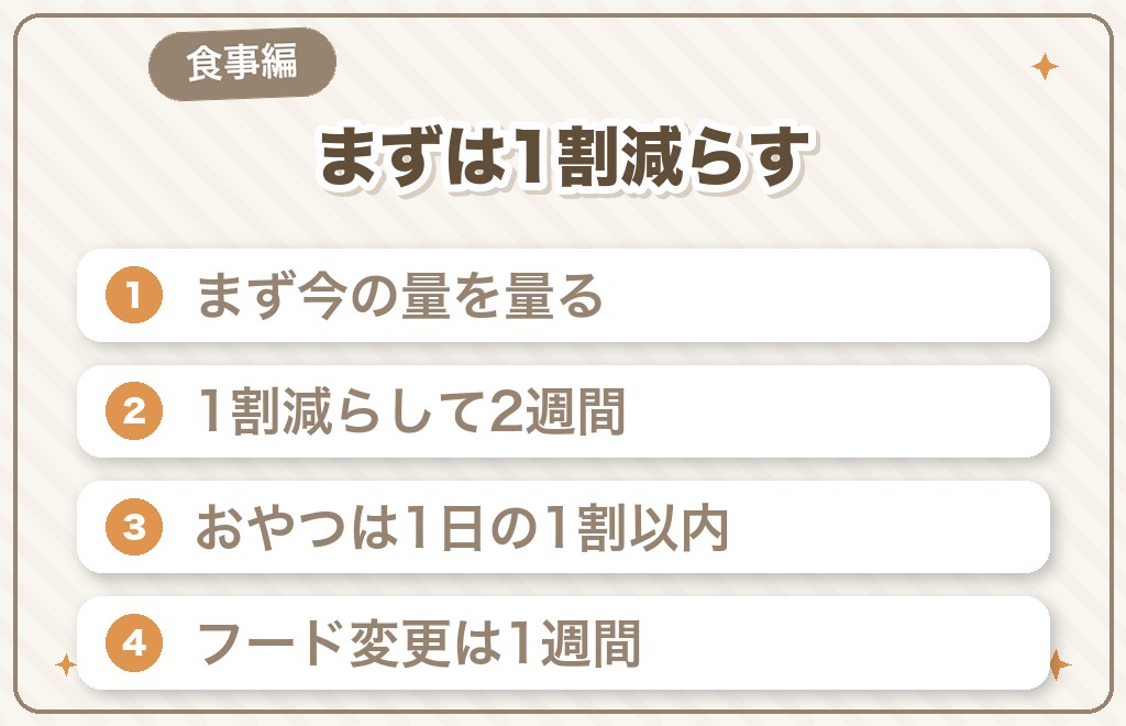 でぶコーギーのダイエット方法【食事編】