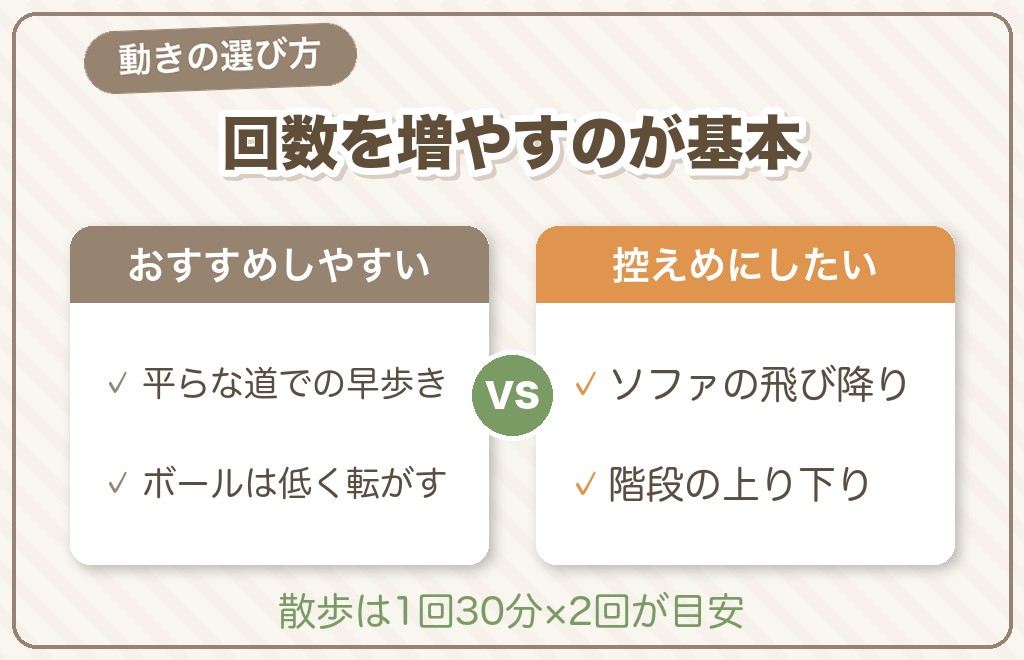 でぶコーギーのダイエット方法【運動編】