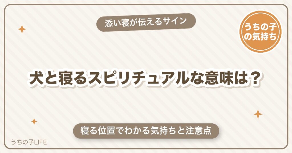 犬と寝るスピリチュアルな意味は？添い寝が伝えるサインと注意点