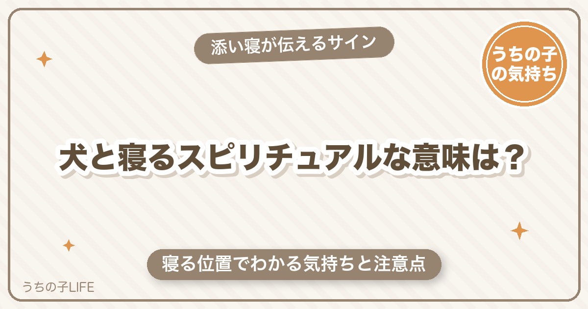 犬と寝るスピリチュアルな意味は？添い寝が伝えるサインと注意点