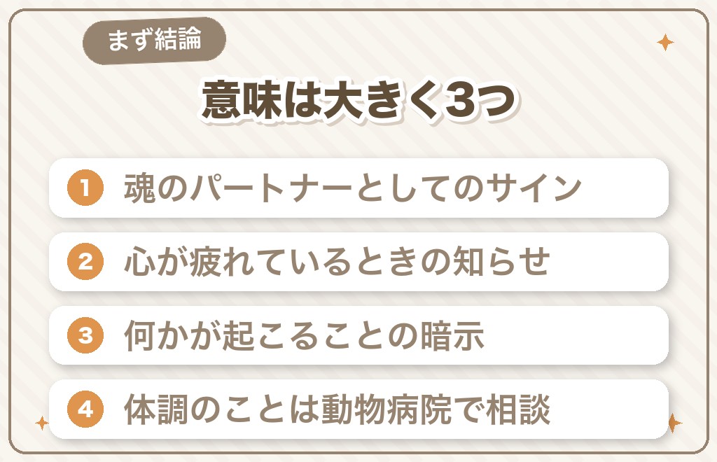 犬と寝るスピリチュアルな意味とは？
