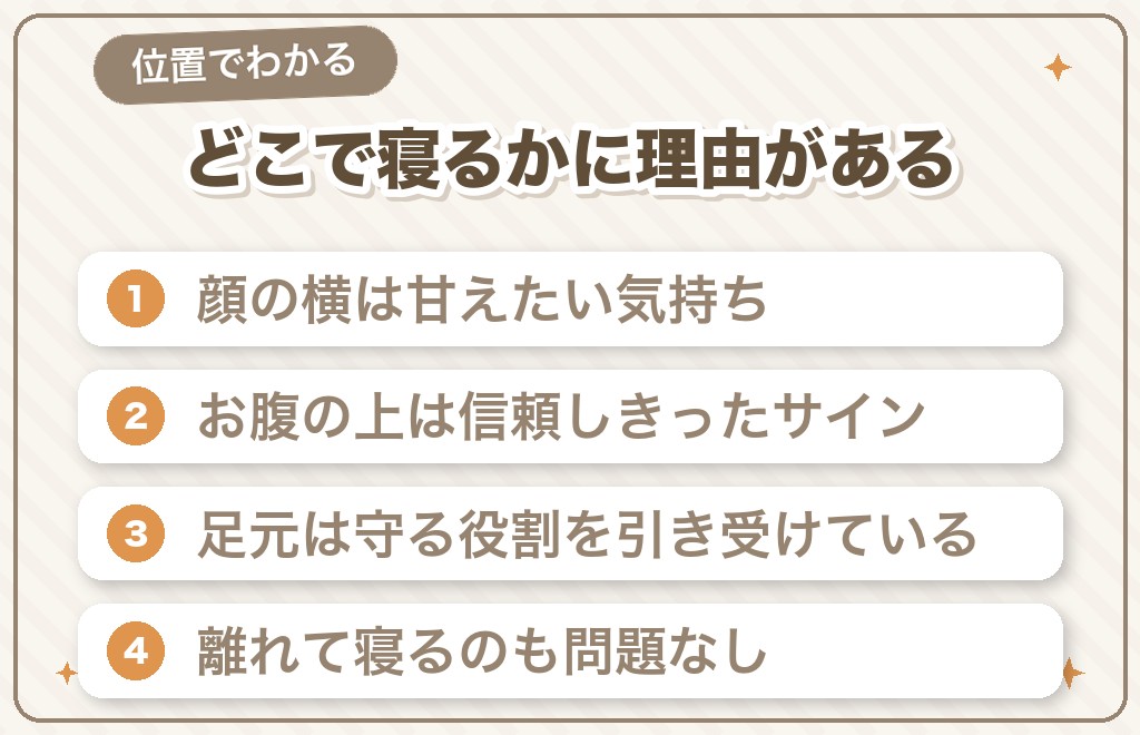寝る位置でわかるうちの子の気持ち