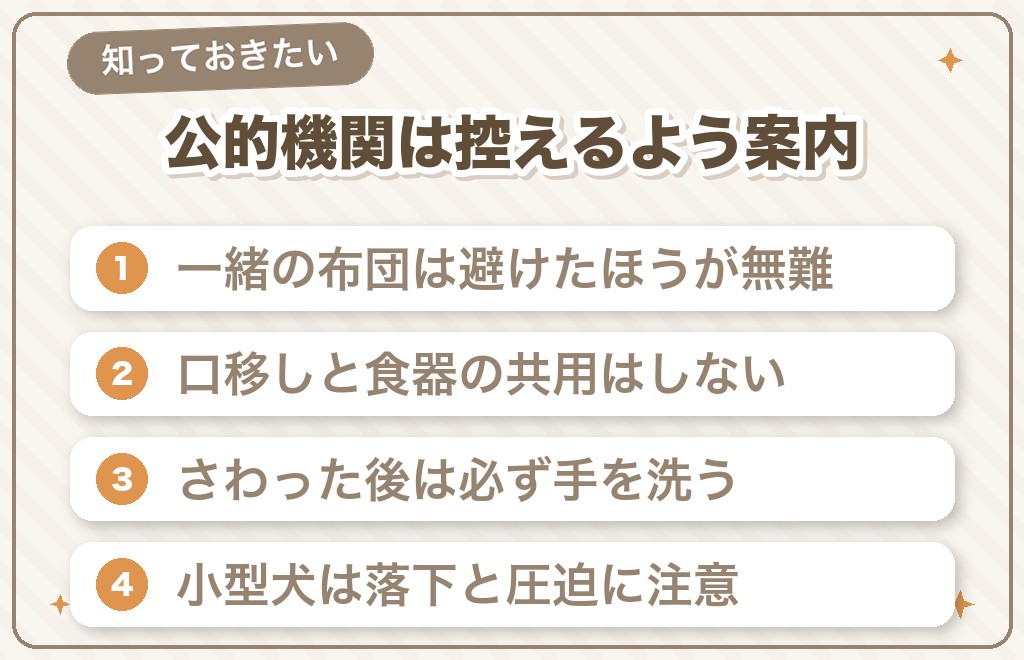 犬と一緒に寝るメリットと注意したいこと