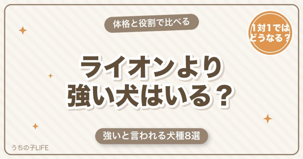 【犬種8選】ライオンより強い犬はいる？体格と役割で徹底比較
