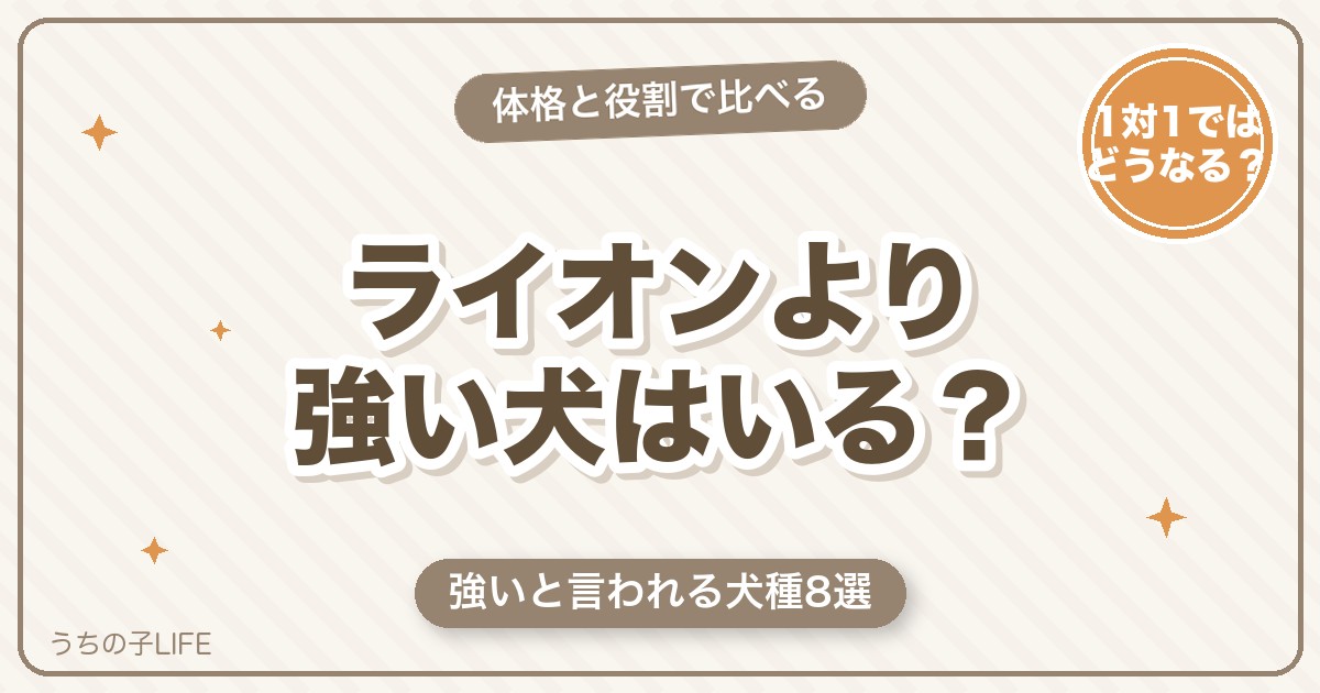 【犬種8選】ライオンより強い犬はいる？体格と役割で徹底比較