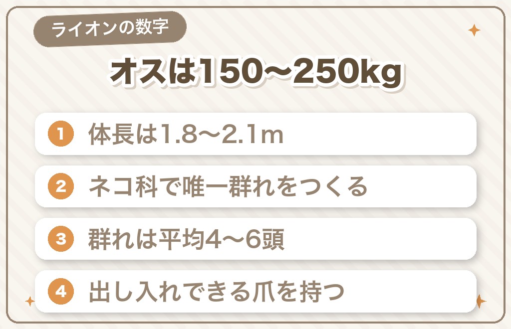 ライオンの体格と能力はどれくらい?