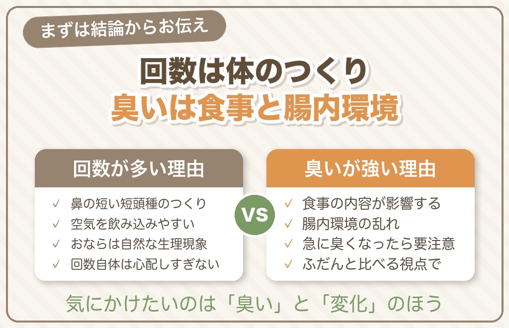 フレンチブルドッグのおならが多い・臭いのはなぜ？まずは結論から