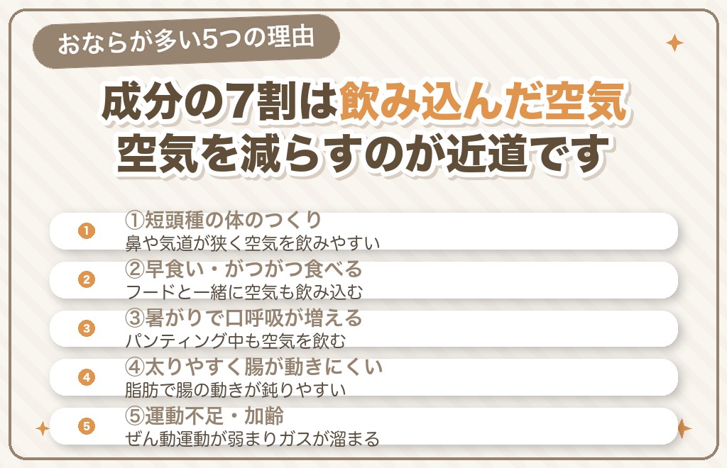 フレンチブルドッグのおならが多い5つの理由
