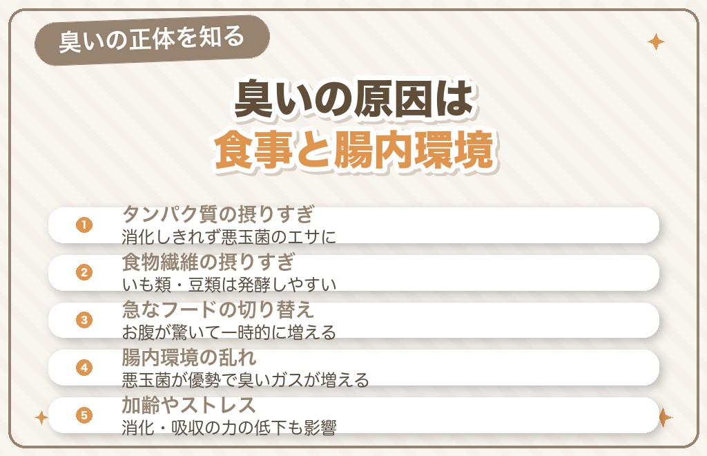 フレンチブルドッグのおならが臭くなる原因