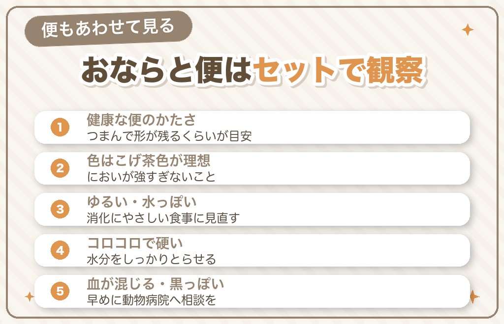 フレンチブルドッグのおならと便(うんち)の関係