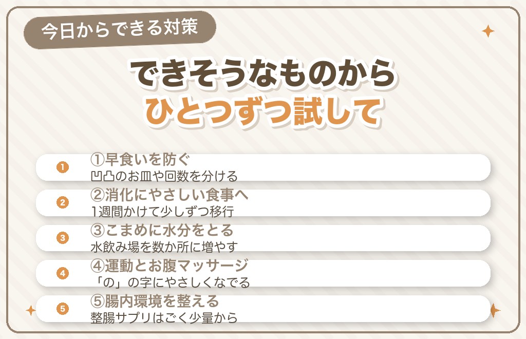 フレンチブルドッグのおなら対策｜今日からできる5つの方法