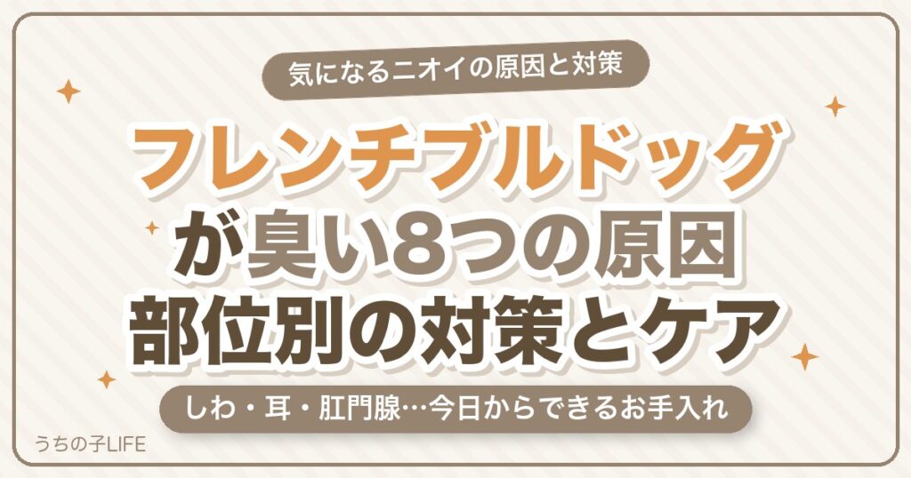 フレンチブルドッグが臭い8つの原因と部位別の対策・ケア方法