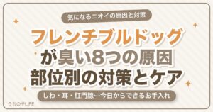 フレンチブルドッグが臭い8つの原因と部位別の対策・ケア方法