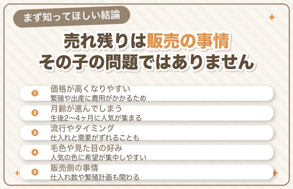 フレンチブルドッグが売れ残る理由は？まず知ってほしい結論
