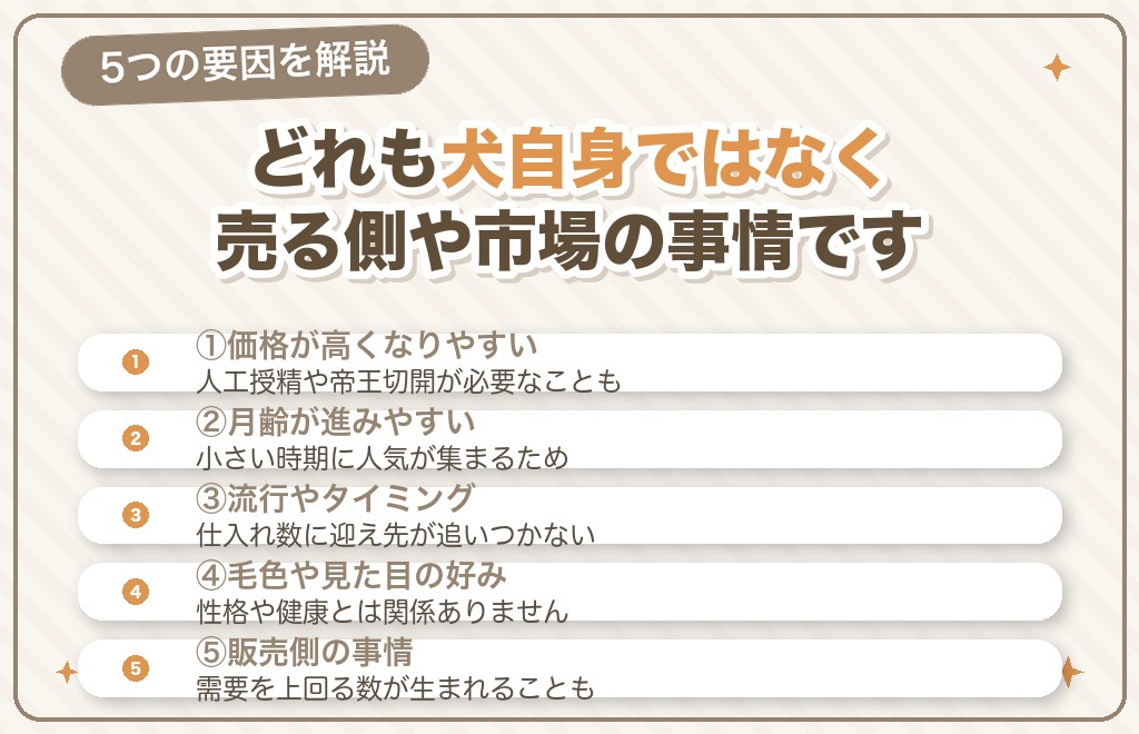 フレンチブルドッグが売れ残る5つの理由