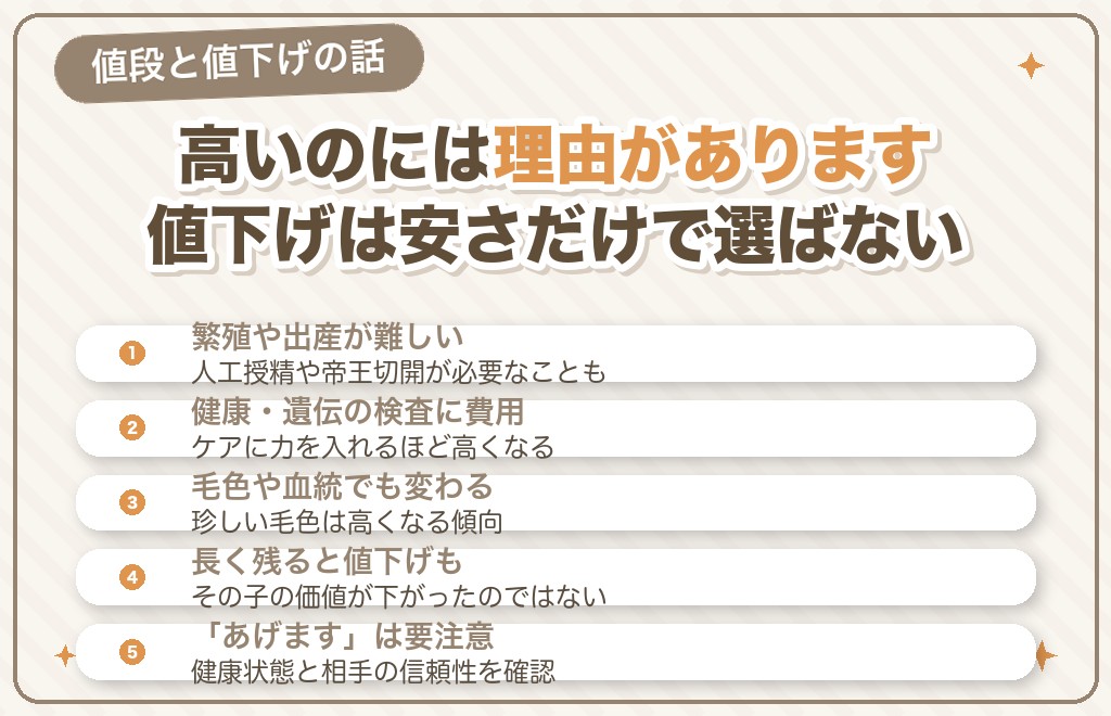 フレンチブルドッグの値段はなぜ高い？値下げの実態も