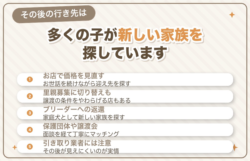 売れ残ったフレンチブルドッグはその後どうなる？