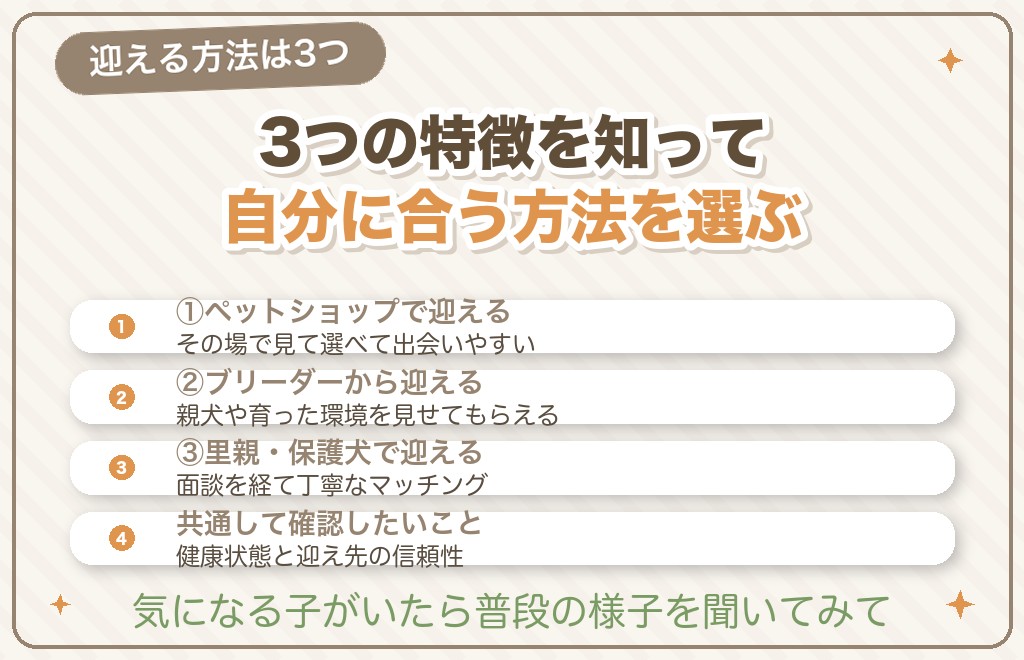 フレンチブルドッグを迎える3つの方法と選び方