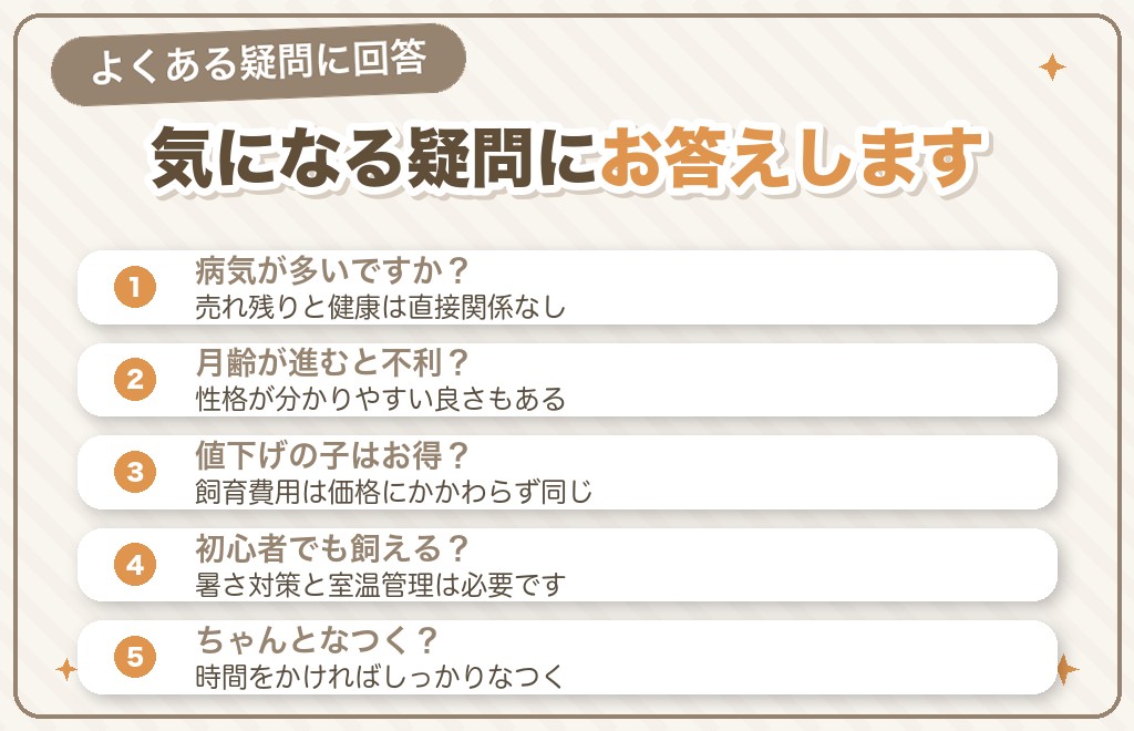 フレンチブルドッグの売れ残りに関するQ&A