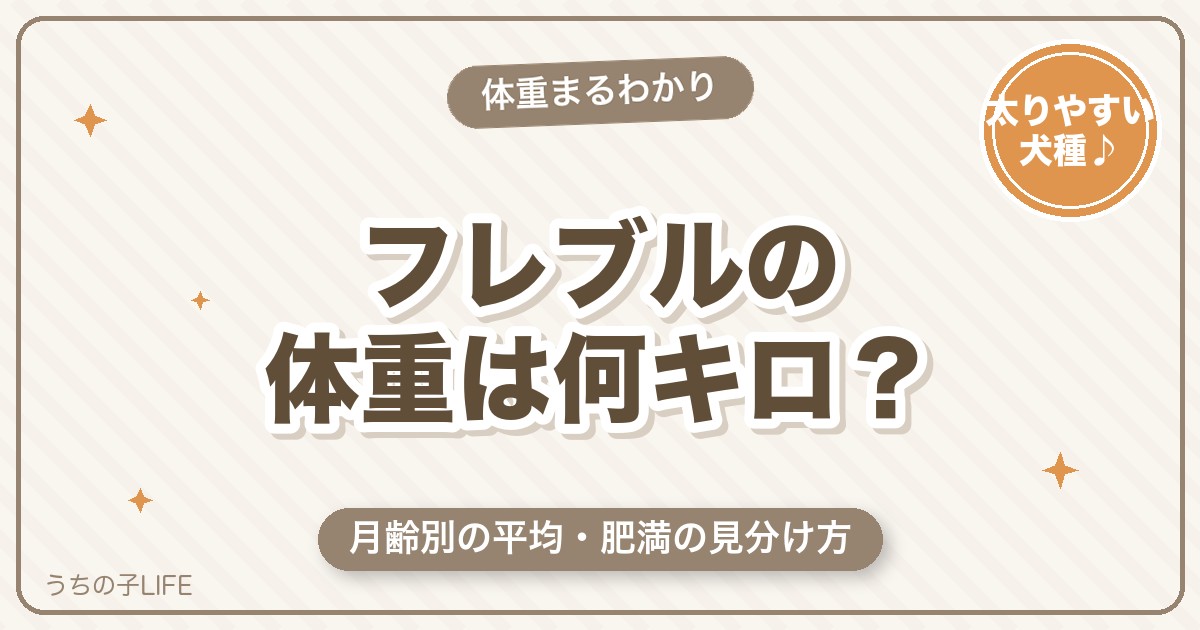 フレンチブルドッグの体重は何キロ？月齢別の平均と肥満の見分け方
