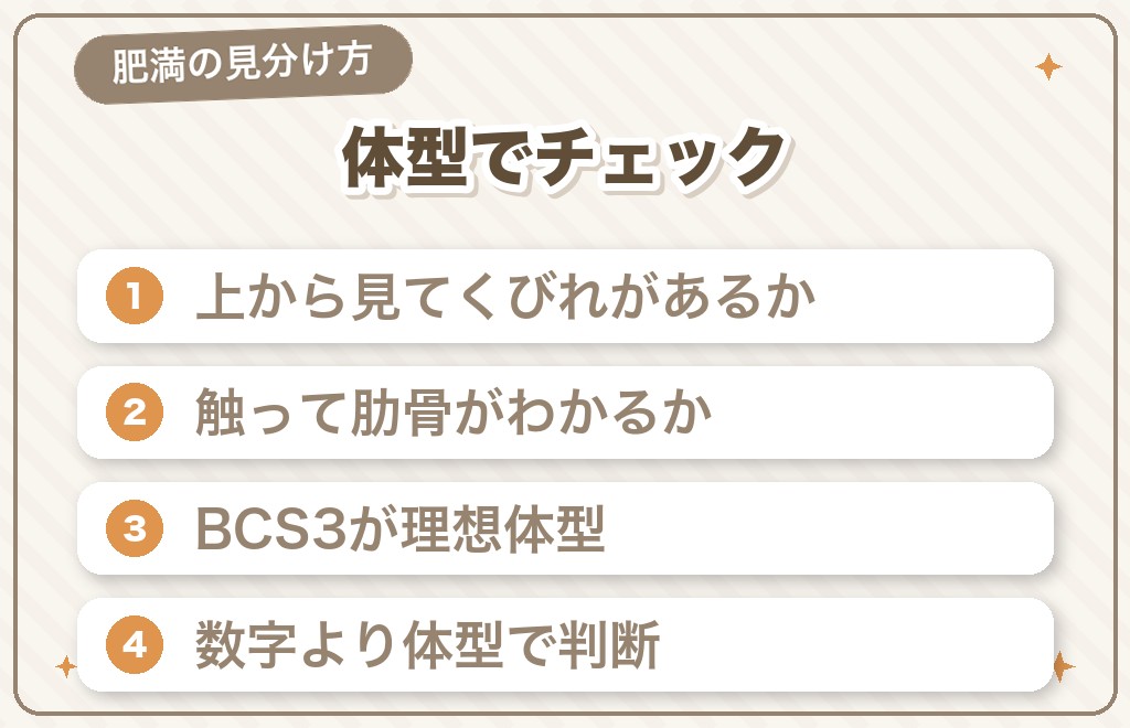 フレンチブルドッグの肥満の見分け方(体型チェック)