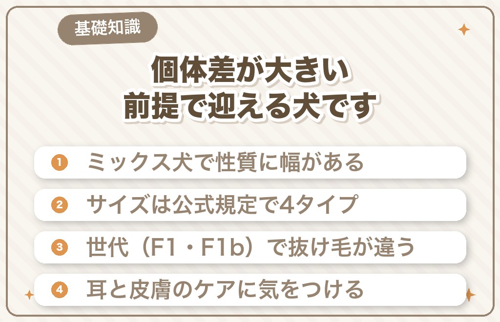 ゴールデンドゥードルはどんな犬?後悔を防ぐための基礎知識