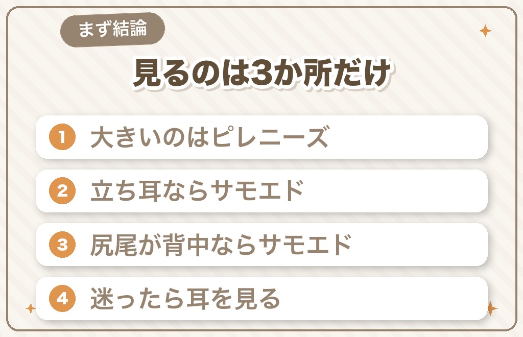 グレートピレニーズとサモエドの違いは「大きさ・耳・尻尾」で見分けられる