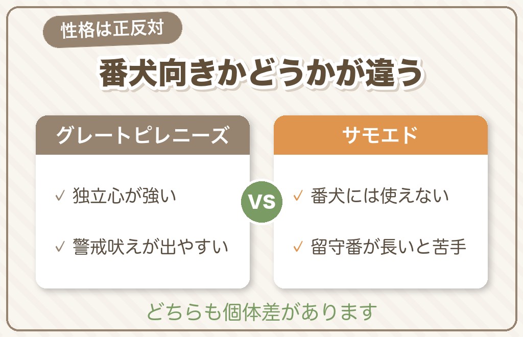 グレートピレニーズとサモエドの性格の違いは「任されてきた仕事」から生まれている