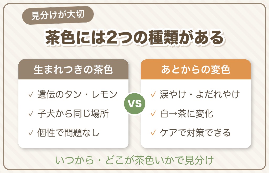 「生まれつきの茶色」と「あとからの変色」の違い