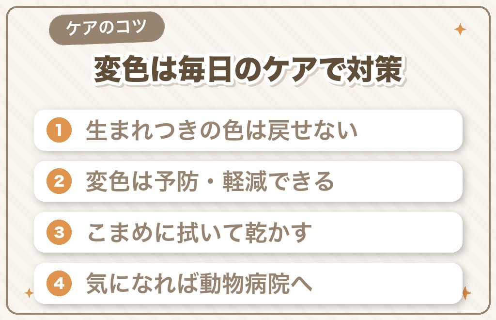 茶色い部分は元の白に戻せる?お手入れとケア