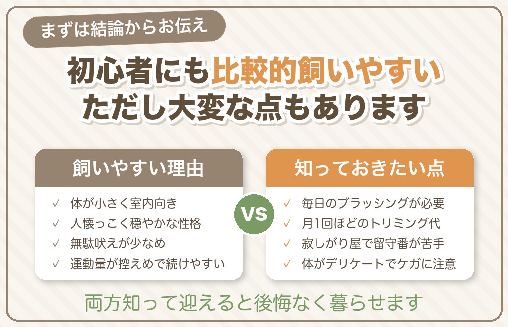 マルチーズは飼いやすい？初心者向きかの結論