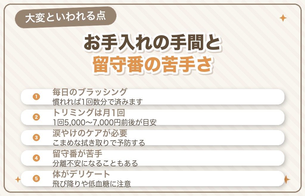 マルチーズを飼うのが大変・飼いにくいといわれる理由