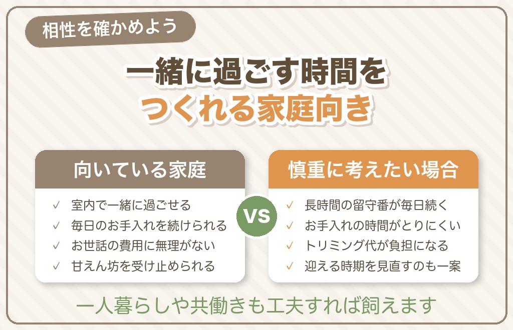 マルチーズはこんな家庭・人に向いている