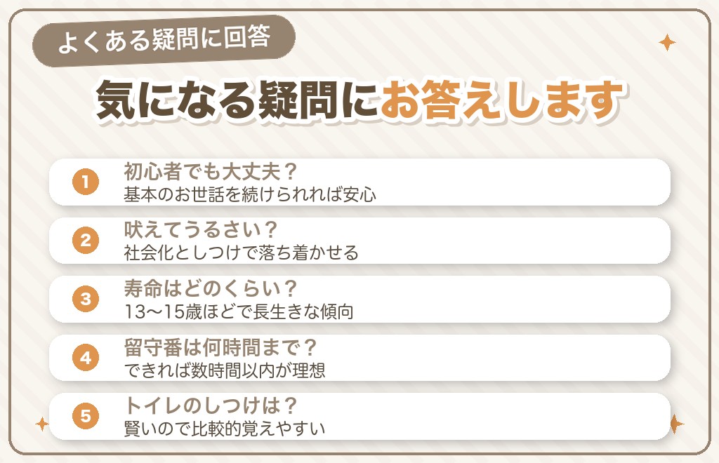 マルチーズの飼いやすさに関するQ&A