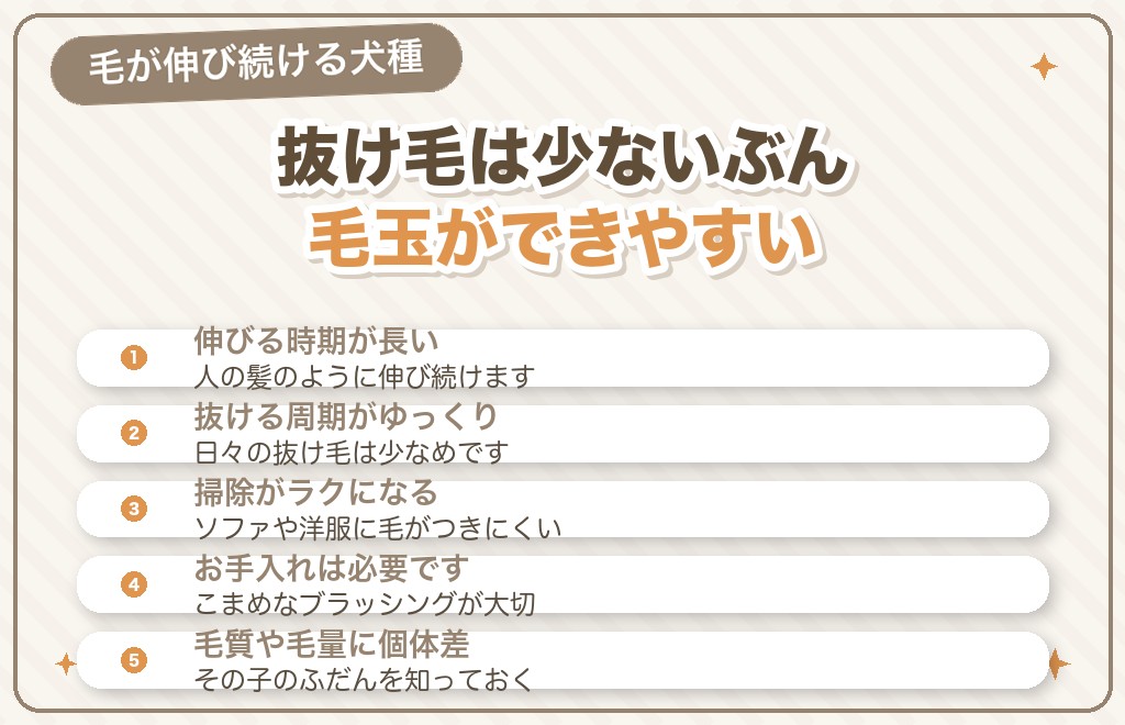 マルチーズの被毛の特徴と毛が抜ける仕組み