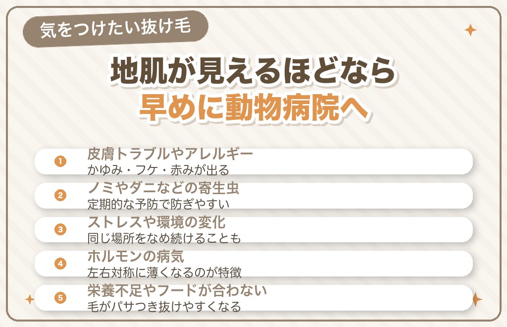 マルチーズの毛がごっそり・大量に抜けるときの原因