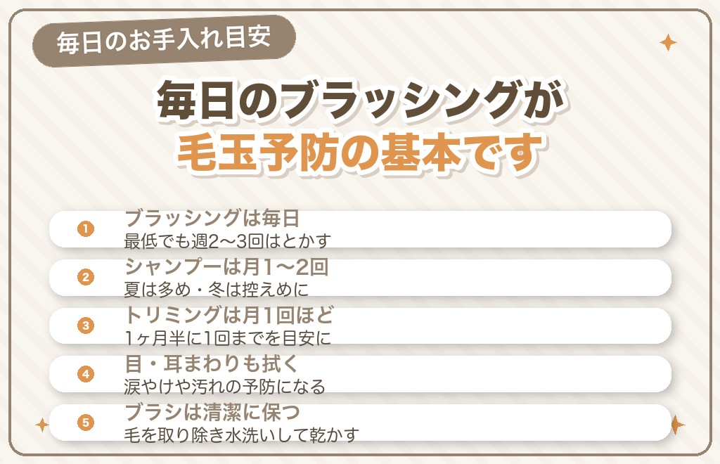 マルチーズの抜け毛・毛玉対策とお手入れ